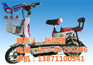 鴻雀王電動車 實力認證的品質(zhì)制造商