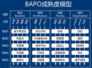 軟件產品線工程 大規模產品開發的高效之路